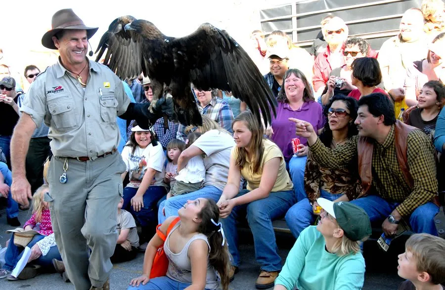 Extreme Raptors Extreme Raptors